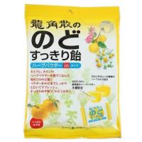 龙角散袋装 润喉糖柚子味80g
