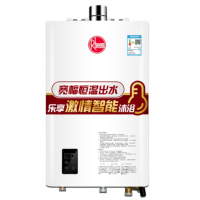 瑞美(Rheem)RGT32-DF 进口16升精控恒温恒温家用燃气热水器(天然气)快速即热式防冻速热16升室内强排型