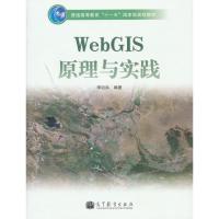 [二手8成新]WebGIS原理与实践 李治洪 9787040255430