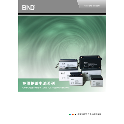 百纳德/bnd  UPS电池 NP12-38