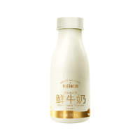 蒙牛每日鲜语鲜牛奶PET瓶250ml