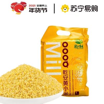 乾安弱碱性黄小米1kg 月子小米2斤装 2020年新米 东北黄小米