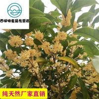 桂花干花新鲜金桂花茶无硫食用烘焙干桂花除特级茶包乌龙茶叶/50g