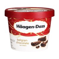 哈根达斯小杯装冰淇淋巧克力味81g