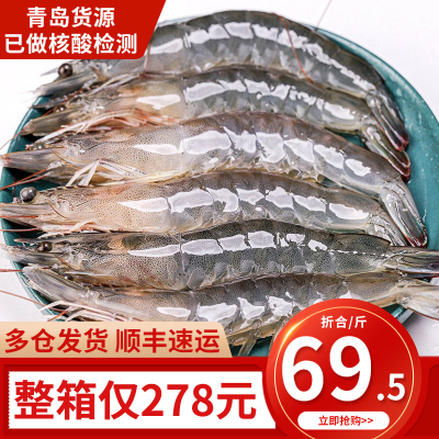 渔哥头等舱 国产青岛大虾 生鲜虾类 3.2斤装