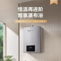 林内(Rinnai)JSQ26-C55W 燃气热水器家用C55W天然气语音智控恒温防冻