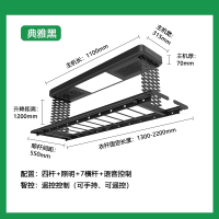 志高(CHIGO)电动烘干晾衣架自动升降凉衣架家用阳台智能遥控语音晾衣杆_典雅黑四杆照明7横杆语音控制包_中