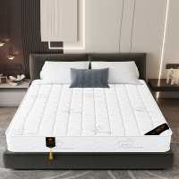迪玛森弹簧床垫床垫家用软硬两用20cm厚双人1.8米1.5出租房经济型