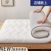 床垫迪玛森软垫家用学生宿舍单人床褥子海绵垫垫被租房专用地铺垫子