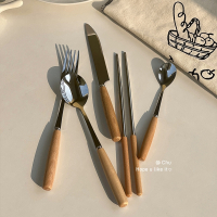 纳丽雅(Naliya)ins餐具简约刀叉筷子勺子四件套装不锈钢木柄高颜值意面甜品勺子
