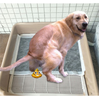 狗狗厕所上米妮拉便拉屎便盆尿盆宠物拉布拉多金毛大号大型犬用品