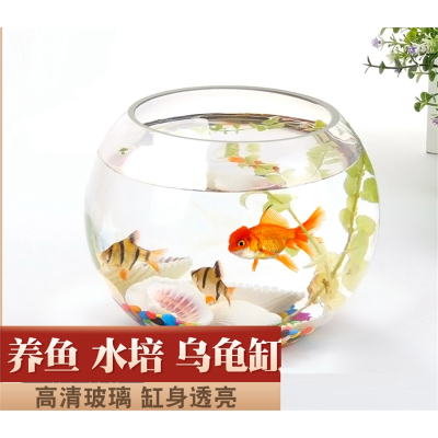 小鱼缸米妮客厅小型乌龟金鱼缸桌面创意龟缸家用水培器皿植物花盆容器