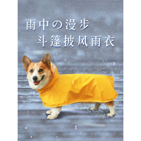 狗狗雨衣小型犬宠物用品米妮泰迪柯基专用防水狗衣服中型四脚全包肚兜