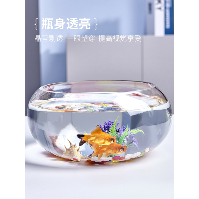 创意水族箱生态圆形米妮玻璃金鱼缸大号乌龟缸迷你小型造景水培花瓶