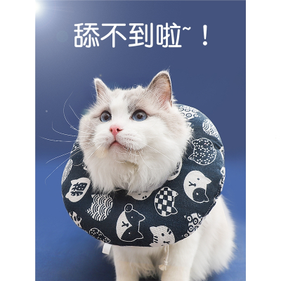 猫咪项圈伊丽莎白圈米妮猫头套颈圈伊利沙白圈幼猫防舔圈宠物狗狗脖套