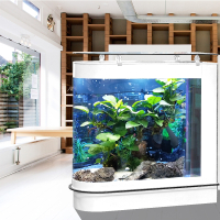 定制子弹头鱼缸弧型玻璃鱼缸水族箱隔断可定制底滤鱼缸生态免换水