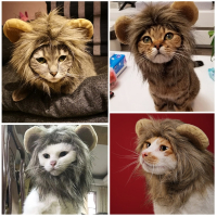 猫咪狮子头套米妮装饰帽子狗狗泰迪比熊可爱造型搞笑搞怪宠物假发饰品