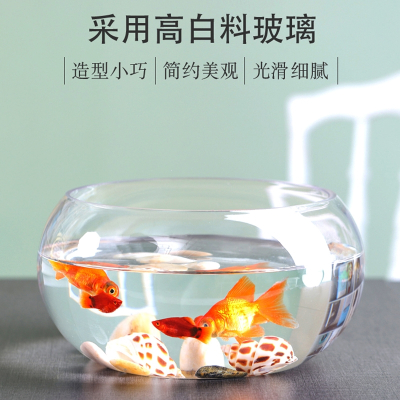 办公室小鱼米妮缸加厚透明玻璃乌龟缸客厅家用桌面圆形迷你小型金鱼缸