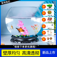 小鱼缸客厅米妮小型乌龟金鱼缸桌面透明龟缸家用水培器皿植物花盆容器
