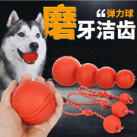 狗狗玩具武速达用品宠物自己玩训练耐咬哈士奇磨牙马犬边牧幼犬玩的球球