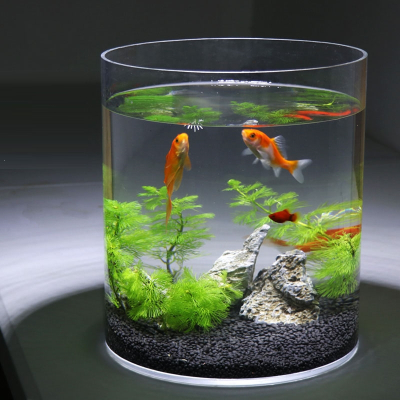 创意米妮亚克力圆柱形金鱼缸客厅小型办公室圆桶鱼缸圆形乌龟缸家用缸