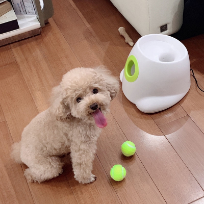 狗狗玩具球武速达网球发射器自动扔球发球投球弹球机宠物网红抛球狗遛狗