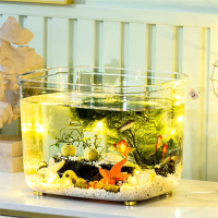 鱼缸客厅小型超白养鱼缸米妮家用水族箱桌面造景生态水草缸乌龟金鱼缸