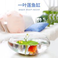桌面米妮小金鱼生态鱼缸圆形玻璃造景养鱼缸客厅小型家用摆件