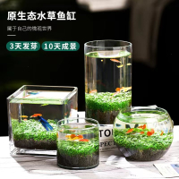 创意缸水培植物米妮鱼缸水草种子籽懒人微景观生态瓶DIY生态鱼缸玻璃