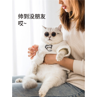 经典抖音同款猫咪衣服防掉毛米妮小奶猫猫秋冬装薄款英短幼猫宠物卫衣