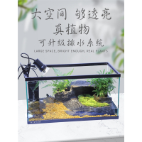 乌龟缸带晒台别墅大型龟缸养乌龟专用缸米妮饲养箱鱼缸生态水陆玻璃缸