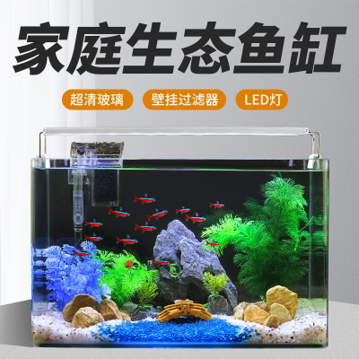 鱼缸水族箱客厅小型桌面创意家用水晶玻璃生态米妮迷你免换水金鱼缸