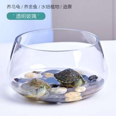 鱼缸米妮玻璃圆形办公桌绿萝水培家用小鱼创意透明小型迷你桌面乌龟缸
