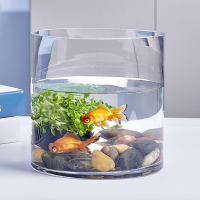 创意客厅金鱼缸米妮玻璃水族箱小型生态圆形圆柱大号乌龟缸造景培装饰