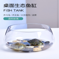 米妮鱼缸玻璃圆形办公桌绿萝水培家用小鱼创意透明小型桌面乌龟缸