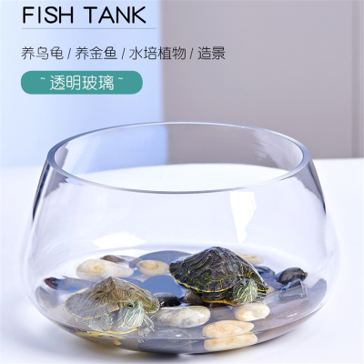 米妮鱼缸玻璃圆形办公桌绿萝水培家用小鱼创意透明小型迷你桌面乌龟缸