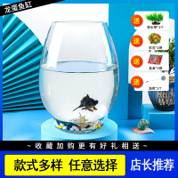 米妮玻璃透明客厅家用生态金鱼缸办公室桌面小型乌龟缸水培养殖缸