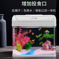 米妮免换水新款鱼缸客厅小型生态玻璃斗鱼家用桌面造景装饰水族箱