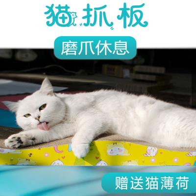 米妮猫抓板猫玩具立式磨爪器护沙发瓦楞纸爪板猫咪用品
