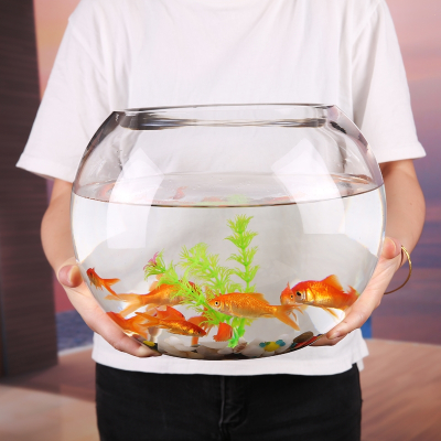 米妮创意圆形玻璃鱼缸透明大号桌面加厚乌龟缸金鱼缸水培客厅