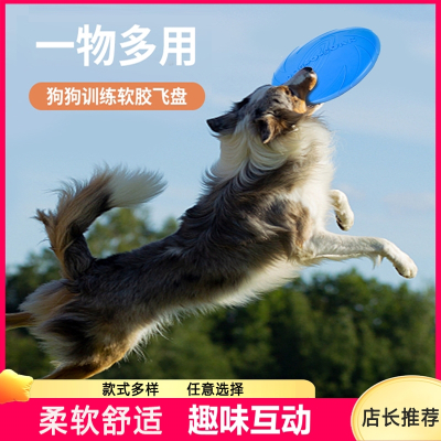 米妮狗狗飞盘边牧金毛泰迪宠物狗专用训练飞碟回力标玩具互动发声