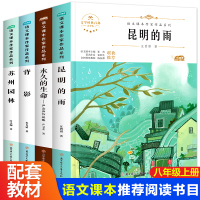 全套4册初中八年级上册同步阅读课外书的生命昆明的雨背影苏州园林文学经典人教版统编教材语文课本作家作品系列老师推荐