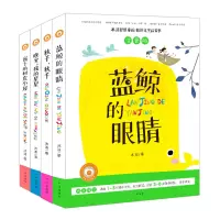 冰波经典童话系列 注意版 全4册 窗下的树皮小屋晚安我的星星秋千秋千