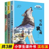 2019新版沈石溪动物小说全套3册野生动物救助站系列雪山狼魂野马奔腾独牙象葬礼老师推荐三四五六年级小学生课外书儿童文学故