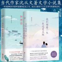 4册 新概念作文大赛获奖者作品精选AB卷 绽放十九届二十届