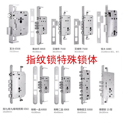 智能门锁指纹锁特殊锁体王力门盼盼门恒大门保德安门等使用的特殊锁体