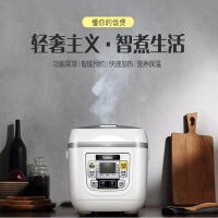 格兰仕(Galanz)电饭煲电饭锅 4.5升智能烹饪 操作简单 多功能电饭煲B551T-45F12J