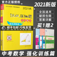 2021新版挑战压轴题中考数学强化训练篇新版中考压轴题数学2020初二初三八九年级初中总复习冲刺练习真题分类资料辅导书专