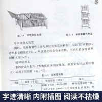 [正版]养兔书籍技术大全+兔病防治 兔子养殖技术书 养殖兔子书籍肉兔高效科学伊拉兔的诊治全套手册 野兔类型饲养管理书