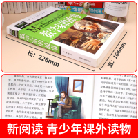 数学家的故事 小学生一二三四年级必读课外阅读书籍 彩插珍藏版名人故事 6-9-12岁青少年版科学家传记 小数学家应该知道